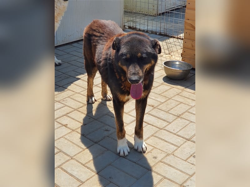 Lucky: wer lässt seine Augen strahlen