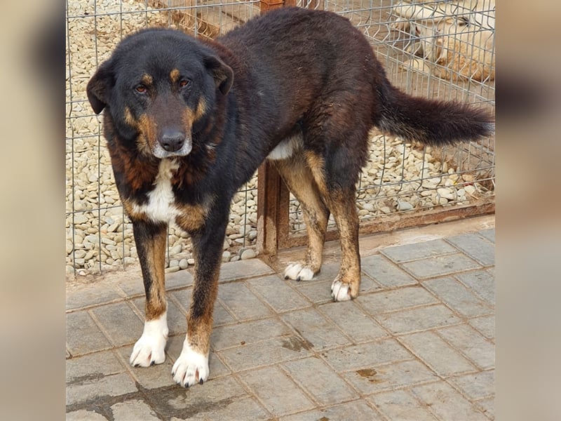 Lucky: wer lässt seine Augen strahlen