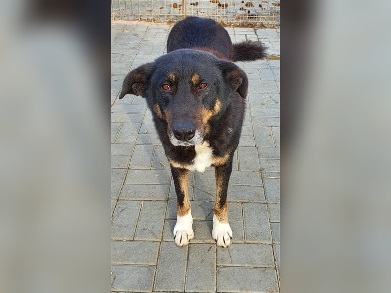 Lucky: wer lässt seine Augen strahlen