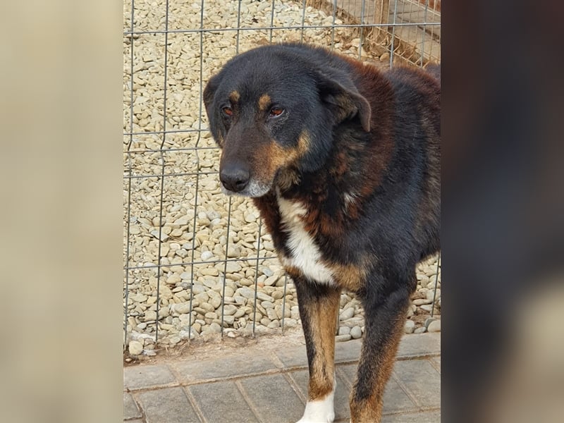 Lucky: wer lässt seine Augen strahlen