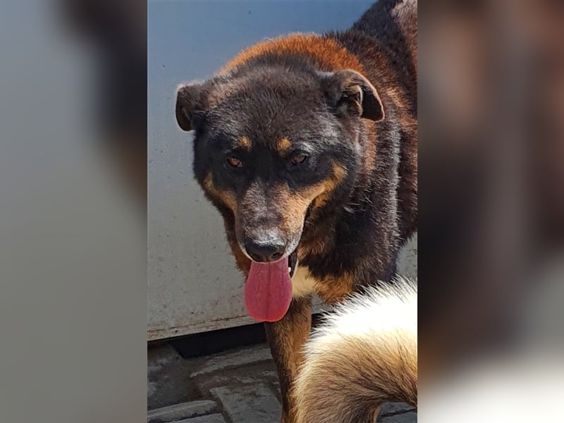 Lucky: wer lässt seine Augen strahlen