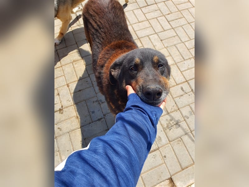 Lucky: wer lässt seine Augen strahlen