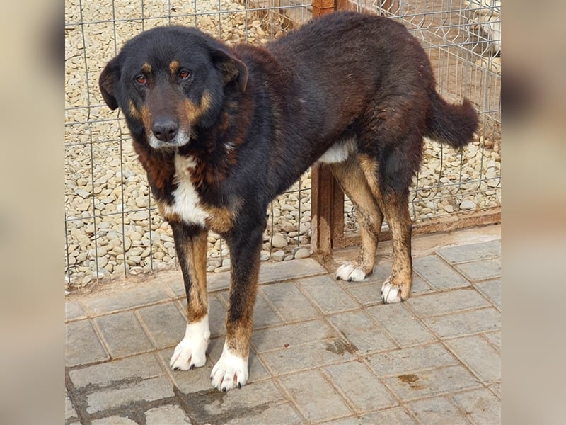 Lucky: wer lässt seine Augen strahlen