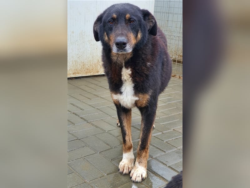 Lucky: wer lässt seine Augen strahlen