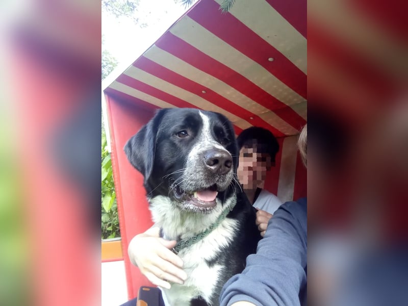 Passendes Zuhause gesucht