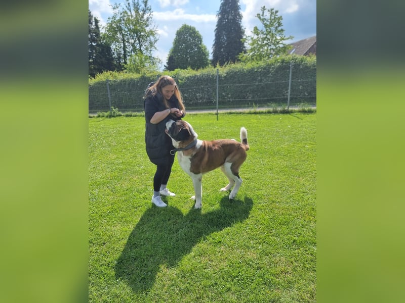 Elvis sucht seine Menschen