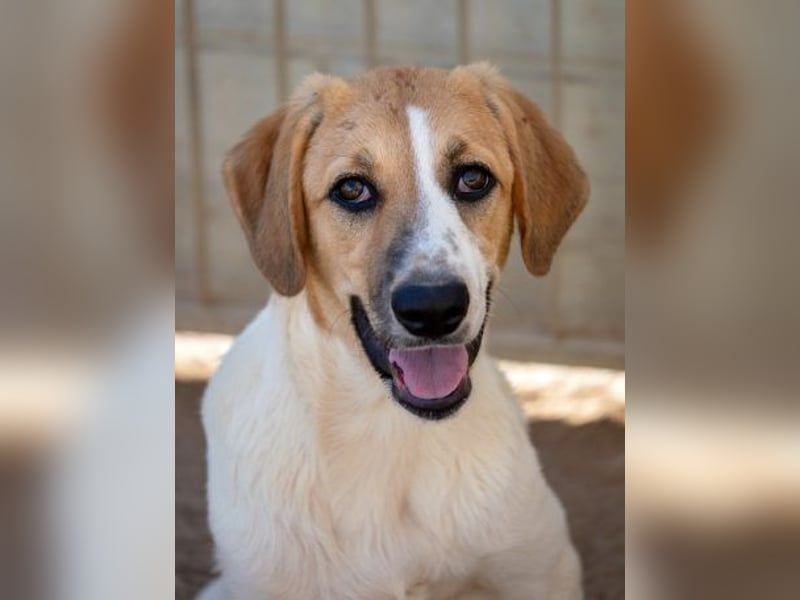 Ritas Welt ist zu klein!