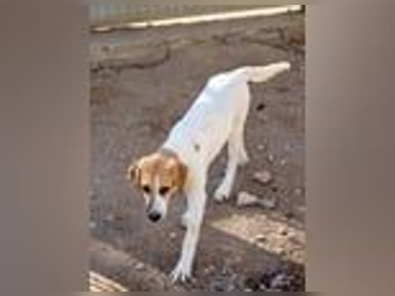 Ritas Welt ist zu klein!