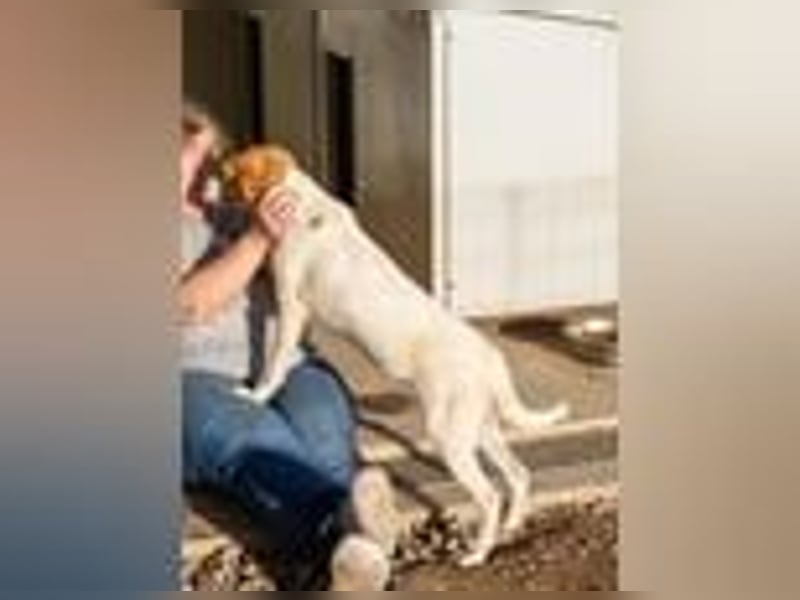 Ritas Welt ist zu klein!