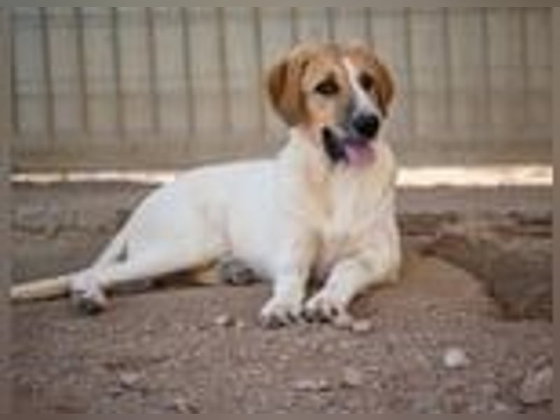 Ritas Welt ist zu klein!