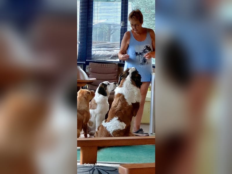 Mira sucht eine neue Familie…freundlich und aktiv