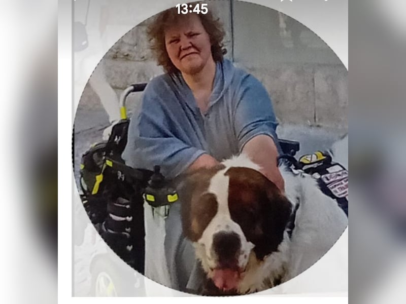 Bernhardiner Rüde, geb. 10.2022, Kastriert, sucht neues Zuhause