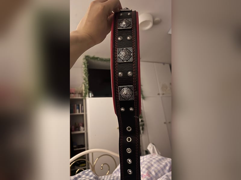 Bestia Echtleder Hundehalsband Xl
