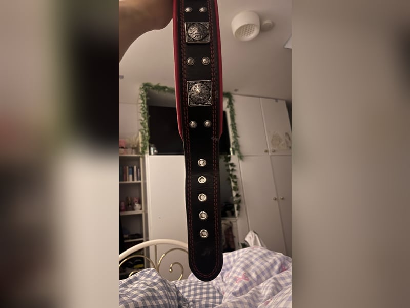 Bestia Echtleder Hundehalsband Xl
