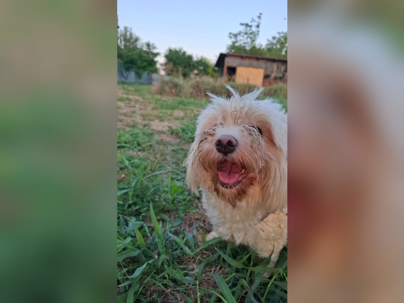 allerliebste kleine Masha