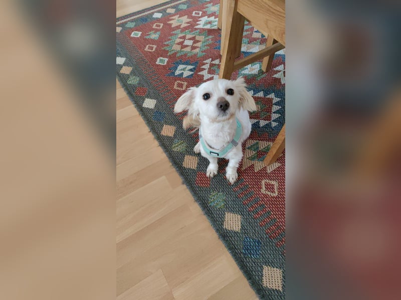 Jetzt wird‘s Beauty