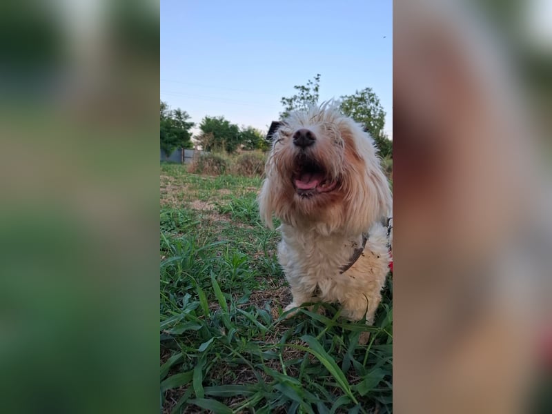 allerliebste kleine Masha