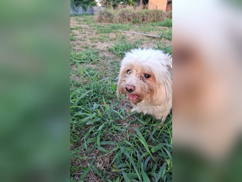 allerliebste kleine Masha
