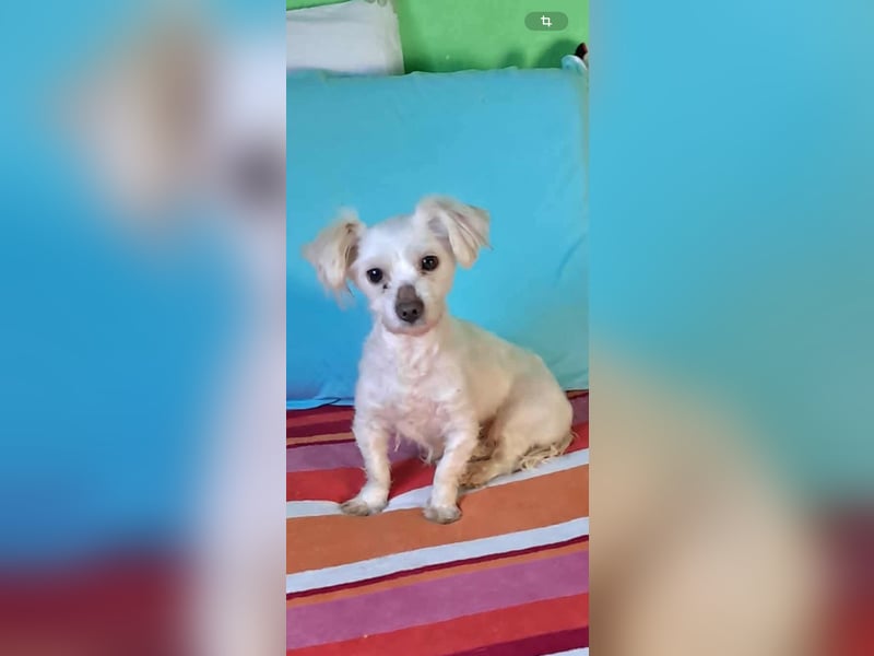 Jetzt wird‘s Beauty