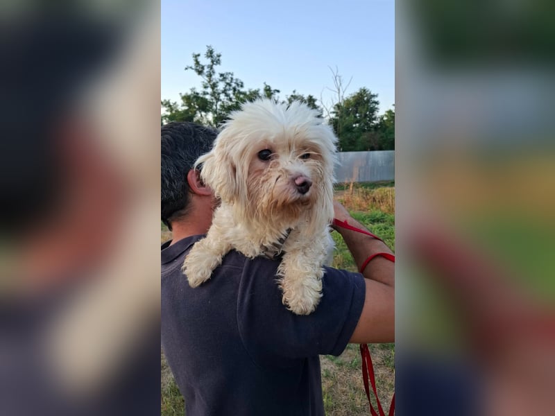 allerliebste kleine Masha