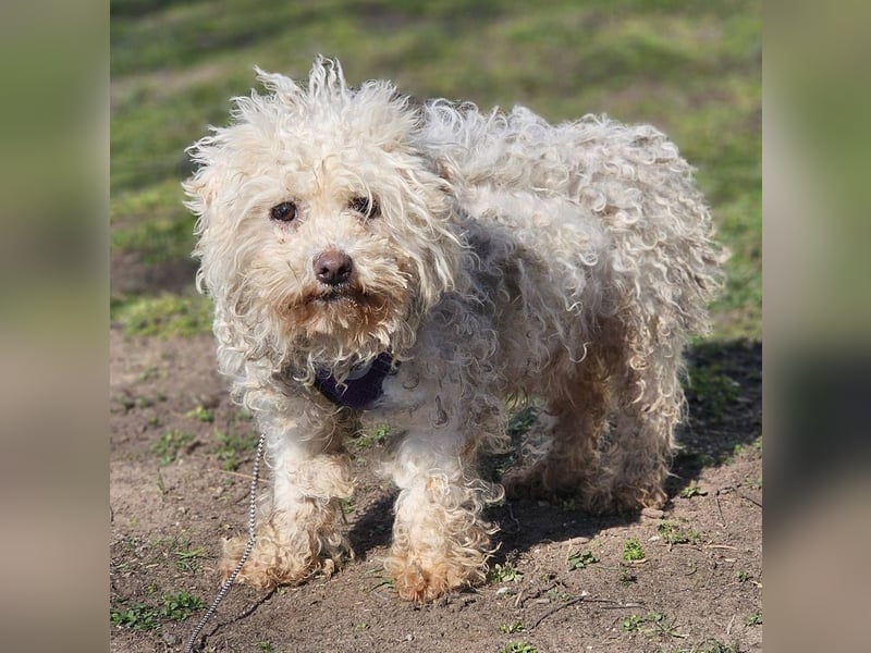 Ziva ist an Zuwendung nicht gewöhnt