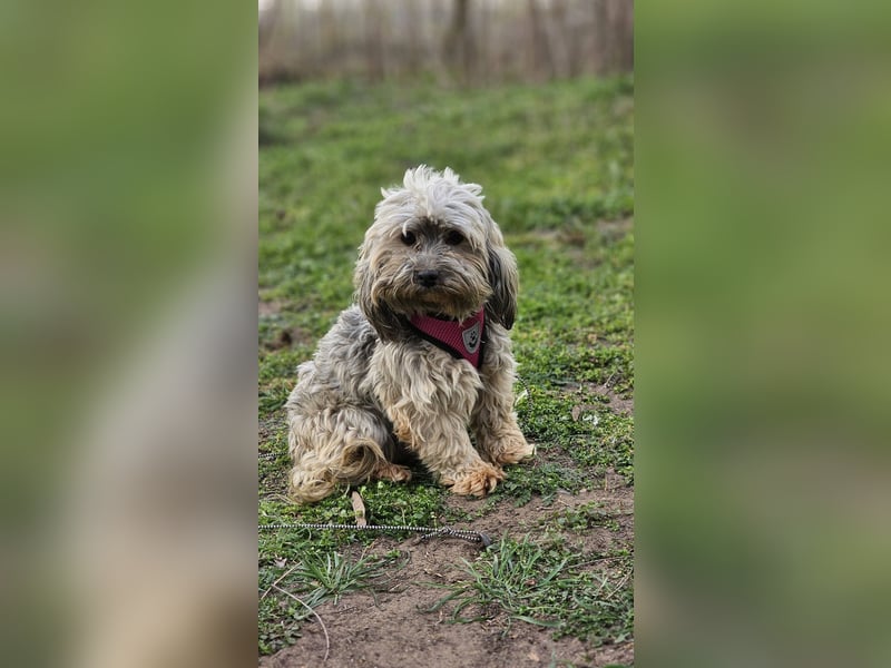 Arissa hatte kein schönes Leben