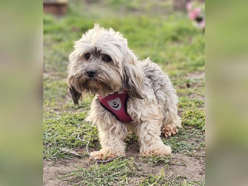 Arissa hatte kein schönes Leben