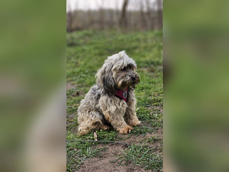 Arissa hatte kein schönes Leben