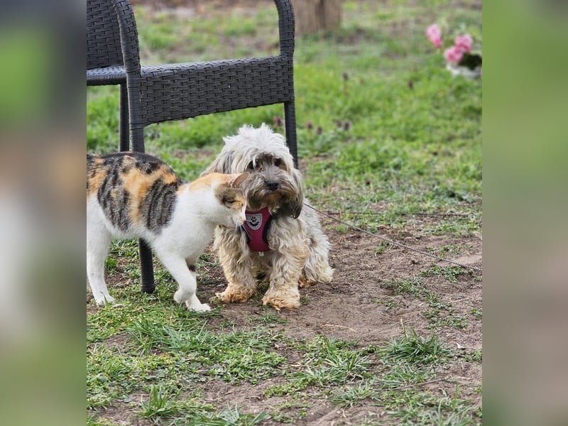 Arissa hatte kein schönes Leben
