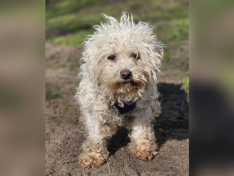 Ziva ist an Zuwendung nicht gewöhnt