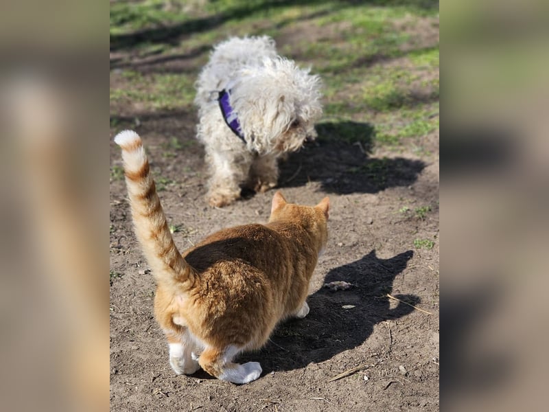 Ziva ist an Zuwendung nicht gewöhnt