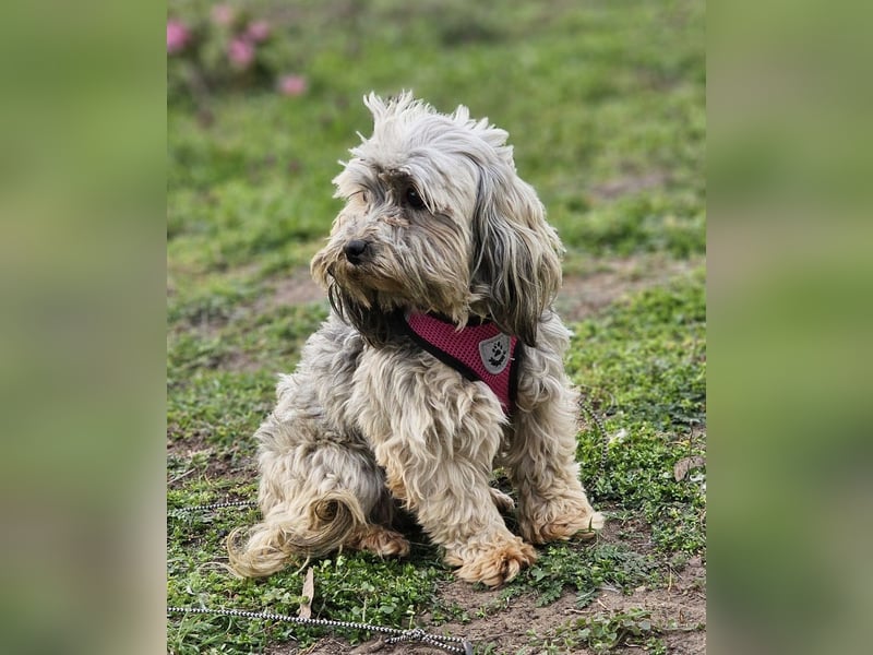 Arissa hatte kein schönes Leben