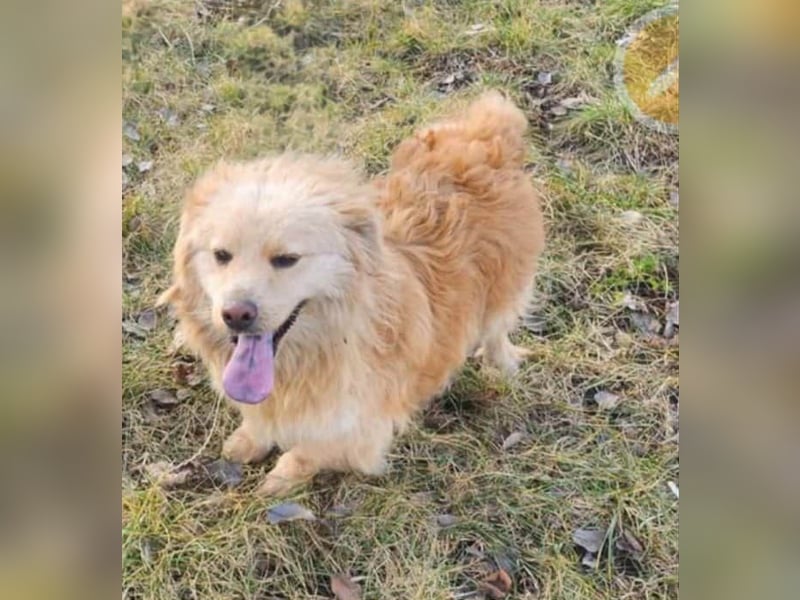 BUDUSEL - Befreit von der Kette