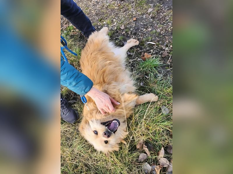 BUDUSEL - Befreit von der Kette