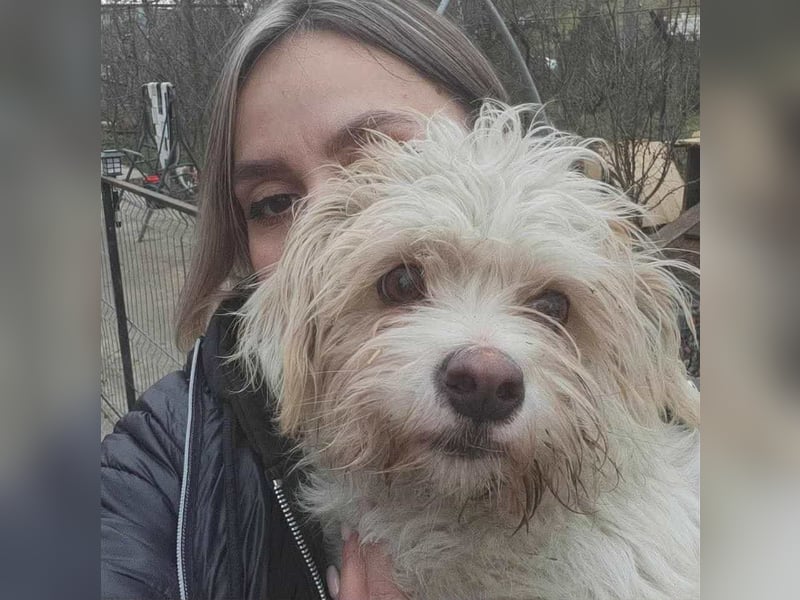 PomPom - Gefunden auf der Straße