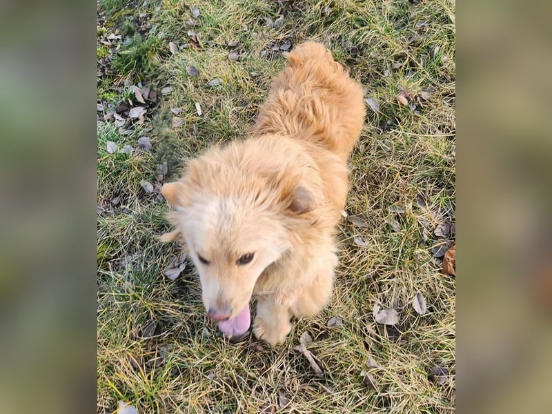 BUDUSEL - Befreit von der Kette