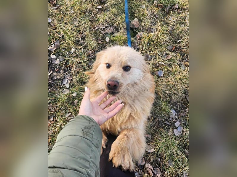 BUDUSEL - Befreit von der Kette