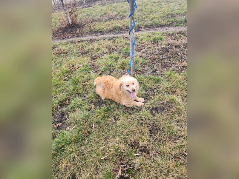 BUDUSEL - Befreit von der Kette