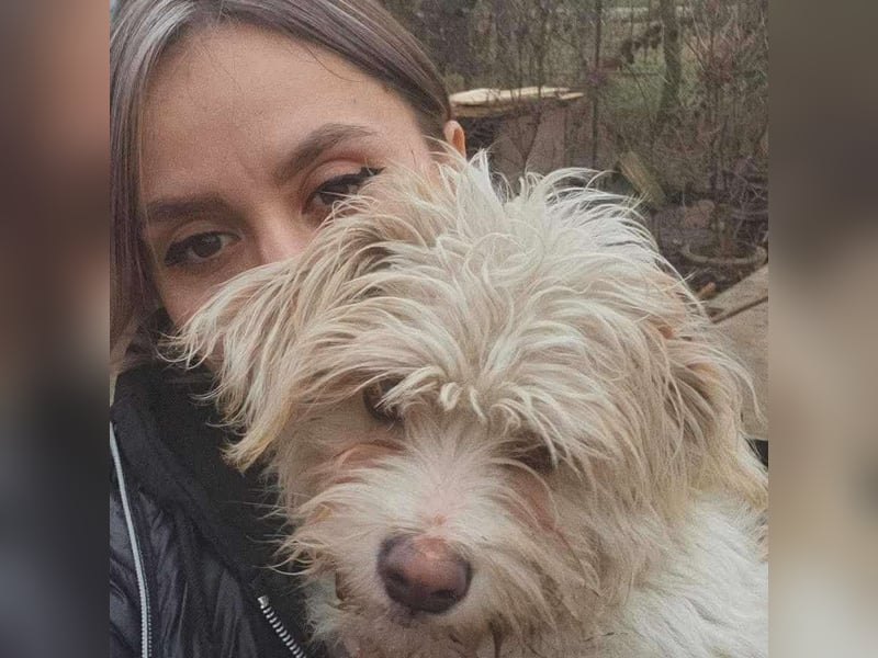 PomPom - Gefunden auf der Straße