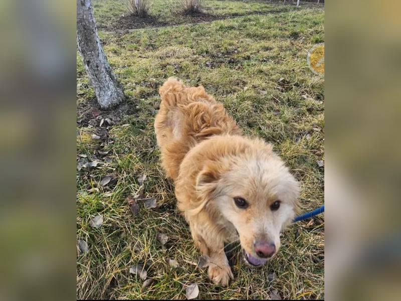 BUDUSEL ♥ - Befreit von der Kette