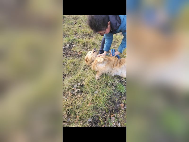 BUDUSEL - Befreit von der Kette