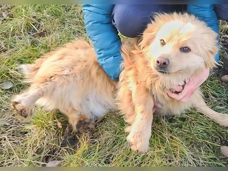 BUDUSEL - Befreit von der Kette