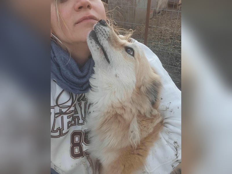 AURI gerettet aus Horror Tötung von Slatina, Ostern'22