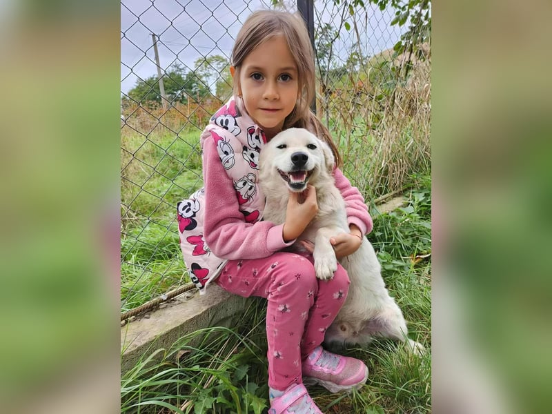 KJELL - gerettet aus Horror Tötung Slatina, Ostern'22