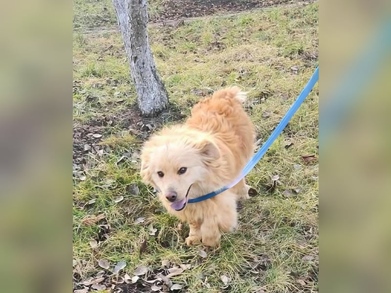 BUDUSEL - Befreit von der Kette