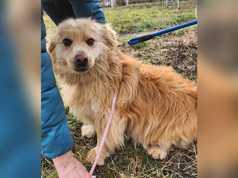 BUDUSEL - Befreit von der Kette