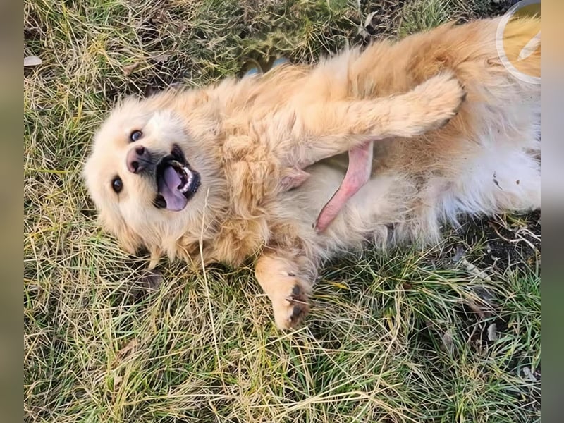 BUDUSEL - Befreit von der Kette