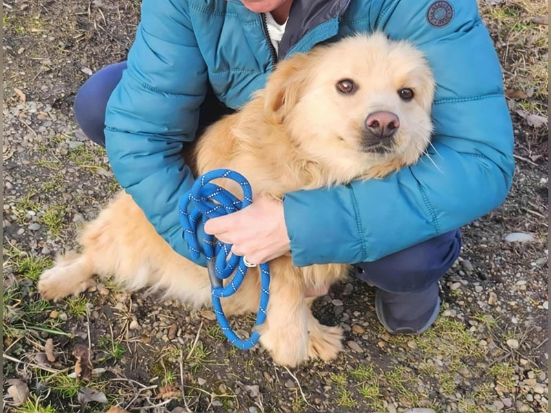 BUDUSEL - Befreit von der Kette