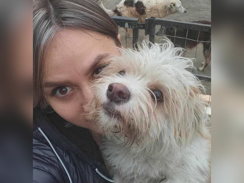 PomPom - Gefunden auf der Straße Rumäniens