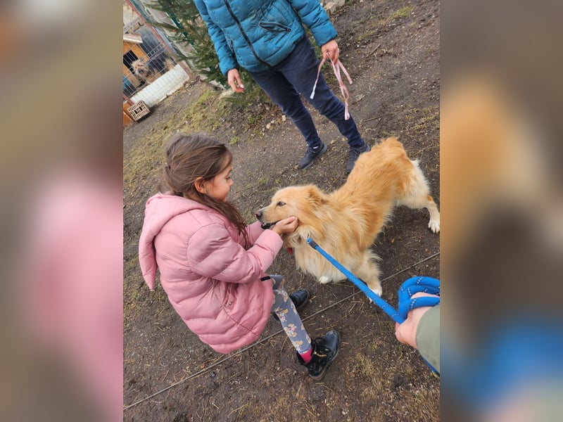 BUDUSEL ♥ - Befreit von der Kette